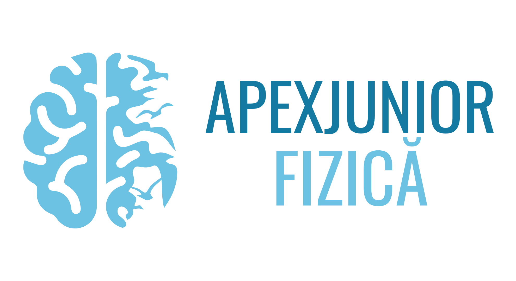 Fizică